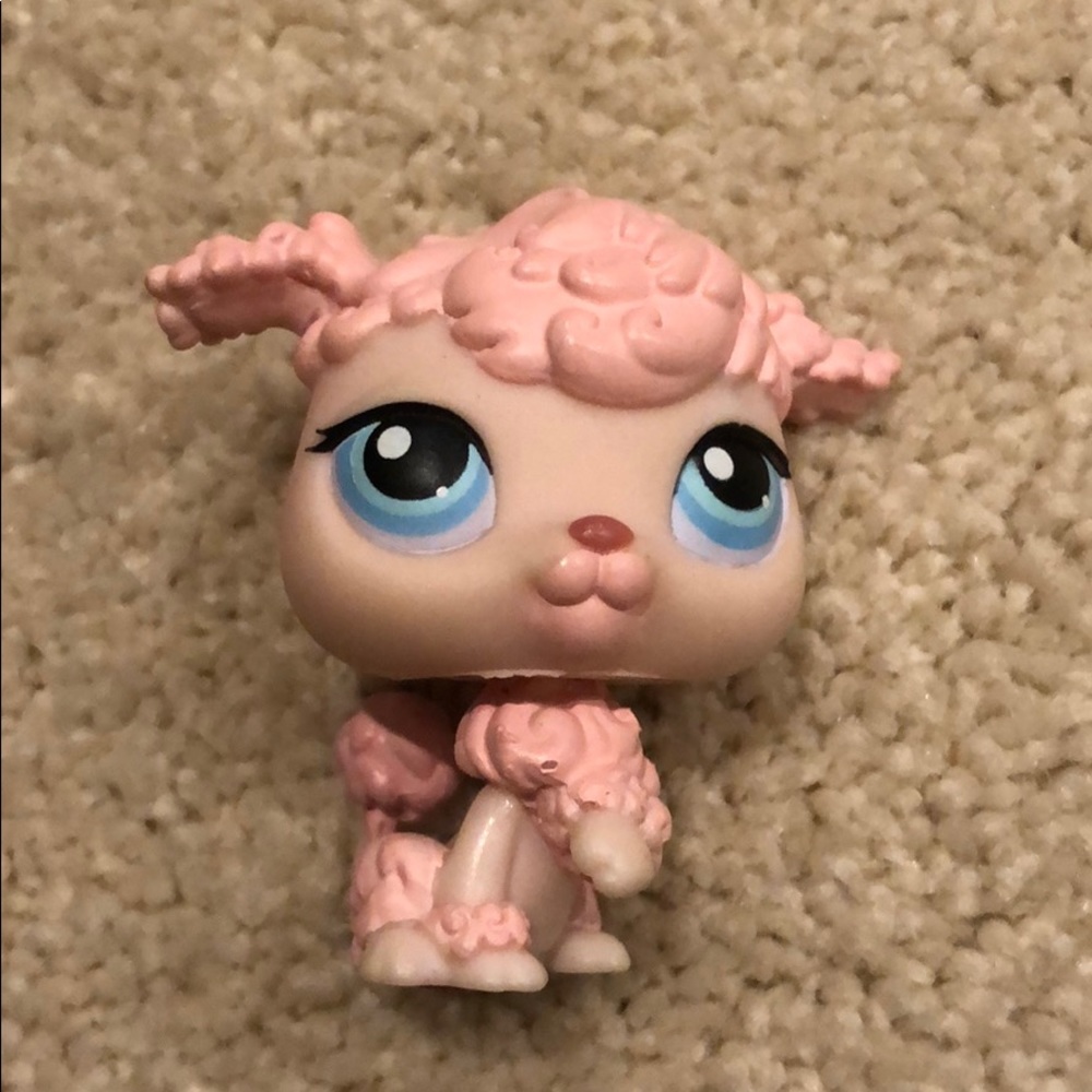 Littlest Pet Shop: RARE Poodle #48